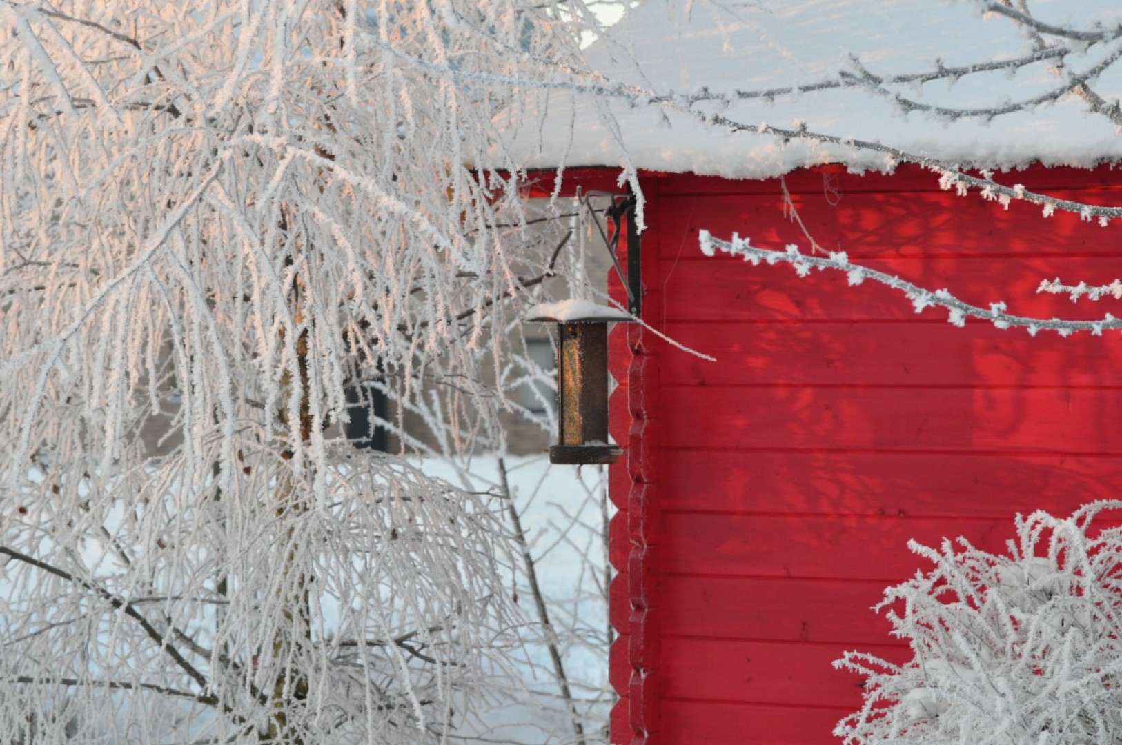 Záhrada - december